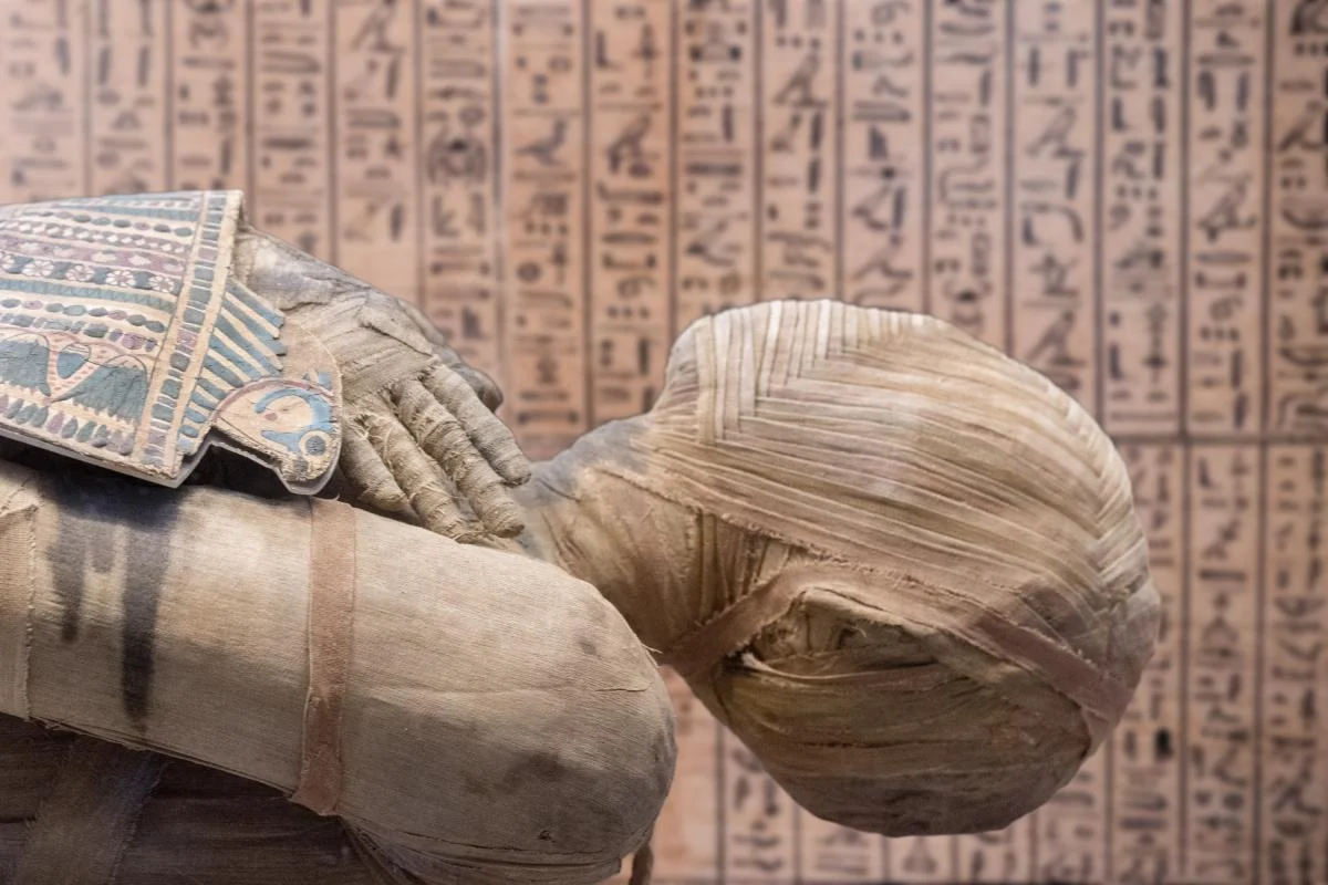 Archaeologists Unearth 2,000-Year-Old Sarcophagus and Make “Unprecedented” Discovery