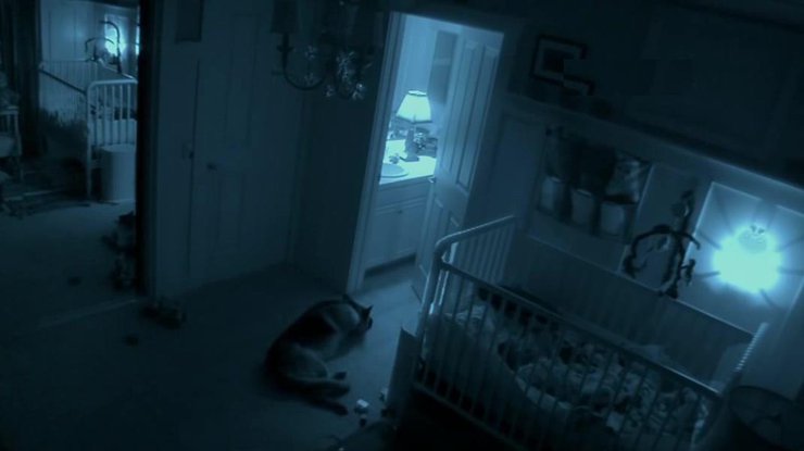 An American woman captured a ghost in her home, which scared her pit bulls terribly (video).