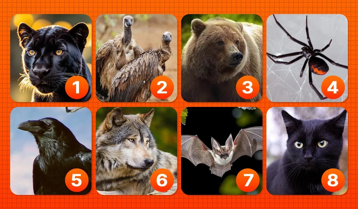 Test Your Dark Side: The Animal You Choose Reveals Your True Self