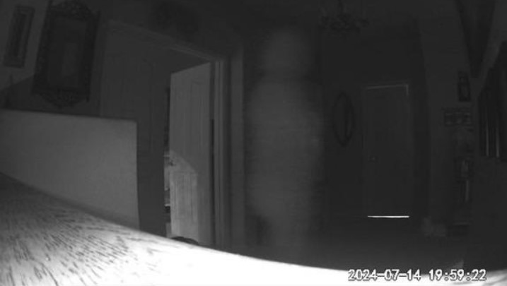 Finally caught our house ghost…