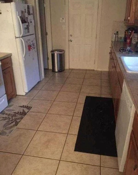 Can you find the large dog hiding in this kitchen?