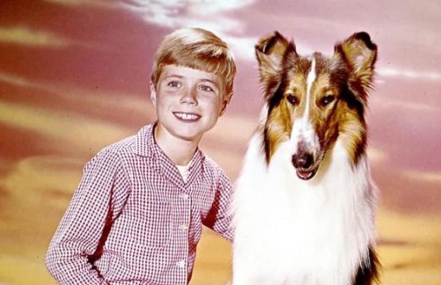 Oh my goodness, does anyone even remember this cutie pie? He entertained us in the ’60s, playing an important role. Today, he is 74. Yes, SEVENTY-FOUR, and you would never recognize him now.