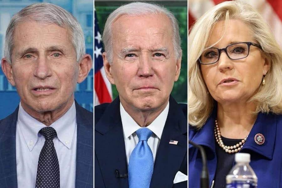 Legal expert warns that Biden’s pardons for Cheney, Fauci, and others could backfire