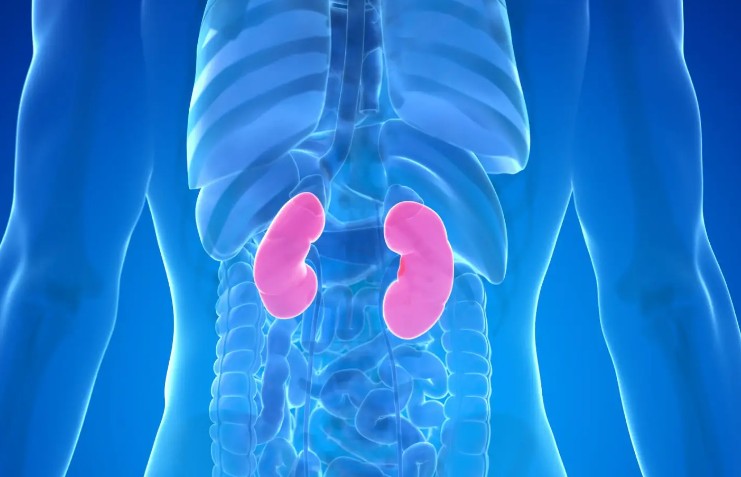 10 Warning Signs Your Kidneys May Be in Danger